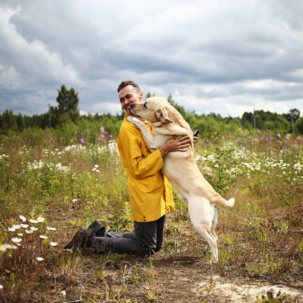 Un hombre abraza a su perro de raza Golden Retriever en un campo de flores, simboliza la protección y el bienestar del perro.