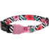 ZEE.DOG Collar Mahalo Perros (Elige Talla)