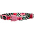 ZEE.CAT Collar Ajustable Gatos (Diseños)