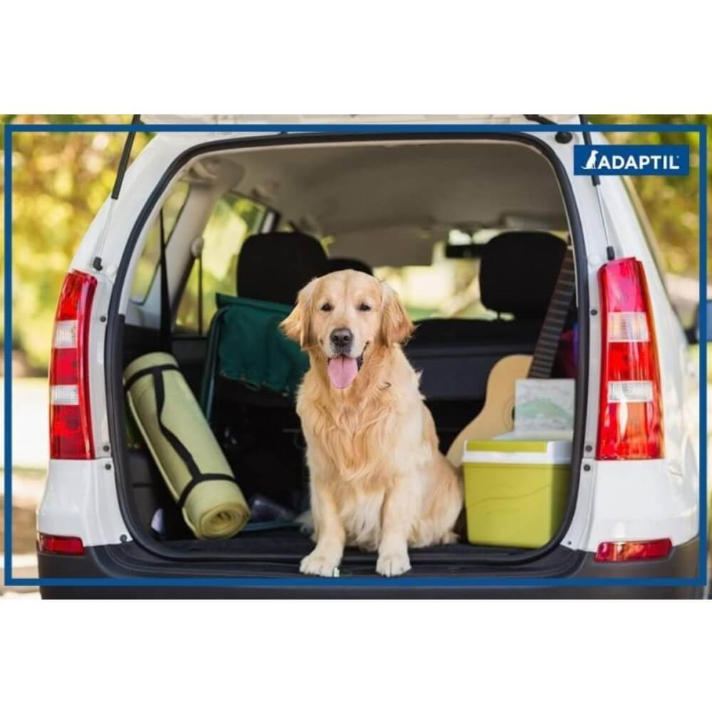 Adaptil Perro en auto