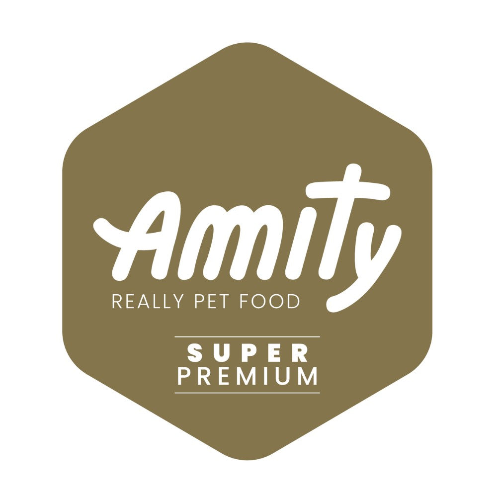 AMITY Salmón Gatitos – Alimento Low Grain Super Premium
