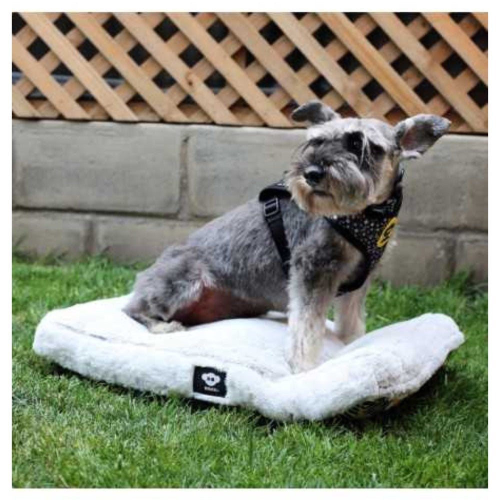Cama Perro BRNX Lavable Antiestrés con Memoria – Cuida Articulaciones