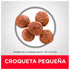 HILLS Science Diet Puppy Small: Nutrición Cachorros Razas Pequeñas