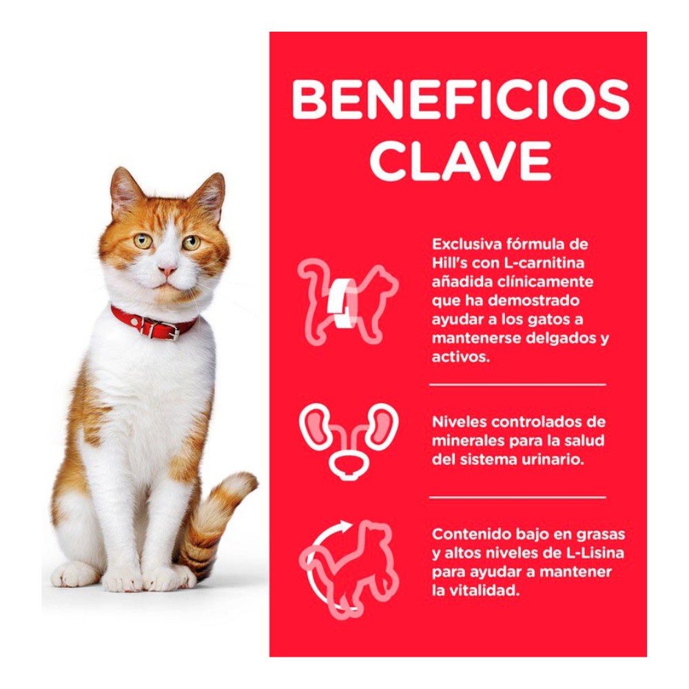 HILLS Science Diet Gatos Adultos: Alimento húmedo diario de salmón