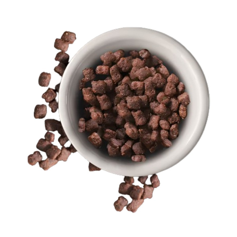 LEONARDO KITTEN - Alimento Húmedo Premium para Gatos Cachorros