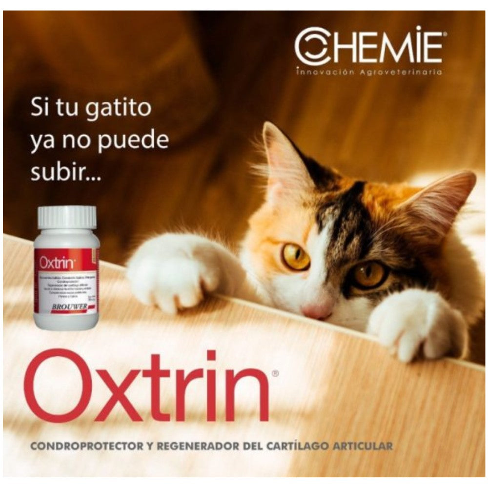 OXTRIN Regenerador Articular - Suplemento para Perros y Gatos
