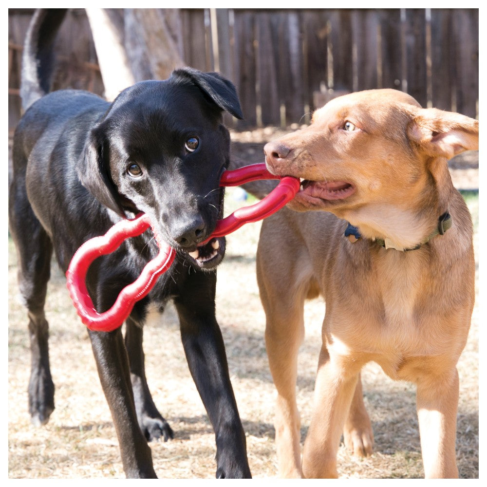 Juguete KONG Tug para Perros: Ideal para masticar y tira y afloja