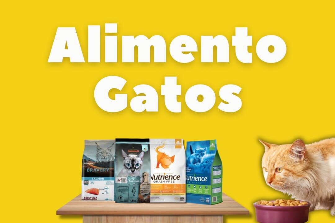 Alimentos para Gatos: Felino comiendo de comedero para gatos, sacos de Bravery y Nutrience, fondo amarillo