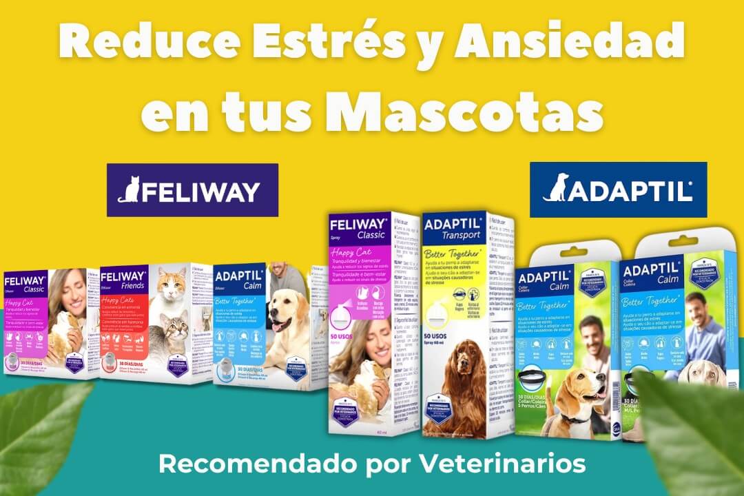 Adaptil y Feliway para reducir estrés y ansiedad en perros y gatos, recomendados por veterinarios. Difusor, Collar y Spray