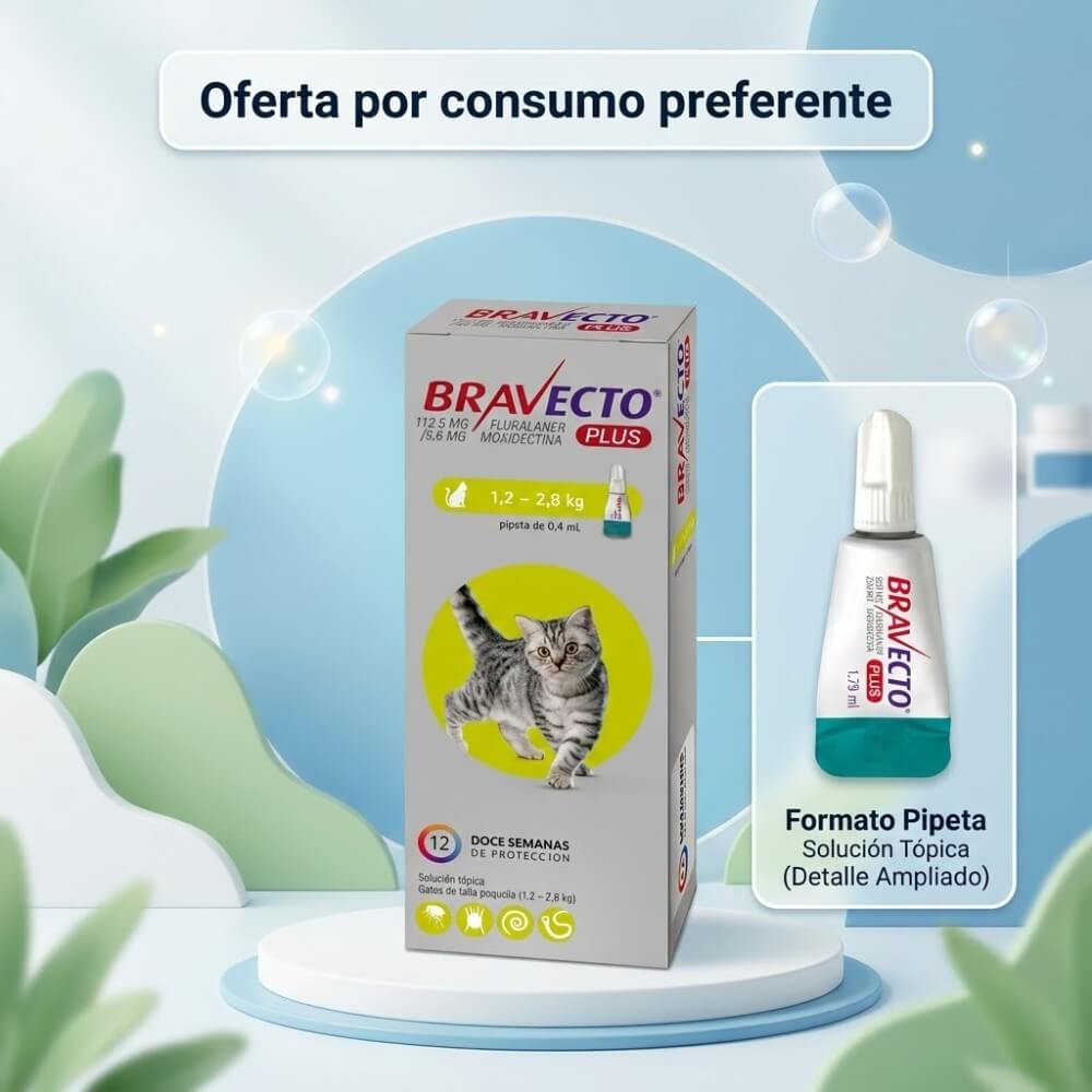 Caja antiparasitario Bravecto Plus para gatos y detalle ampliado de su pipeta, sobre un fondo azul claro con banner de Oferta preferente