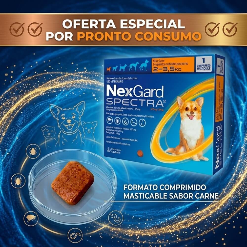 Oferta especial Nexgard Spectra para perros. Muestra el envase frontal junto a un comprimido masticable en fondo de energía azul y dorada