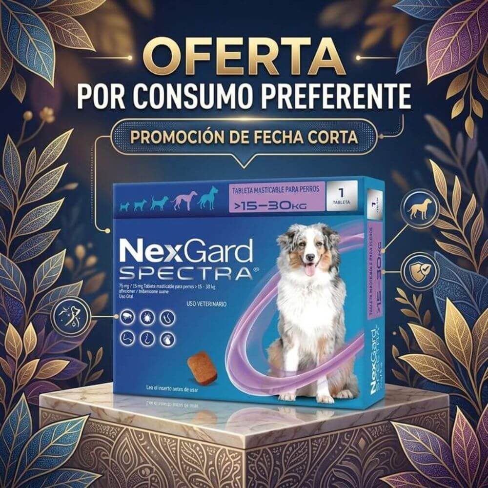 Caja de NexGard Spectra con perro Australian Shepherd, sobre una plataforma de piedra rodeada de follaje ilustrado con patrones detallados