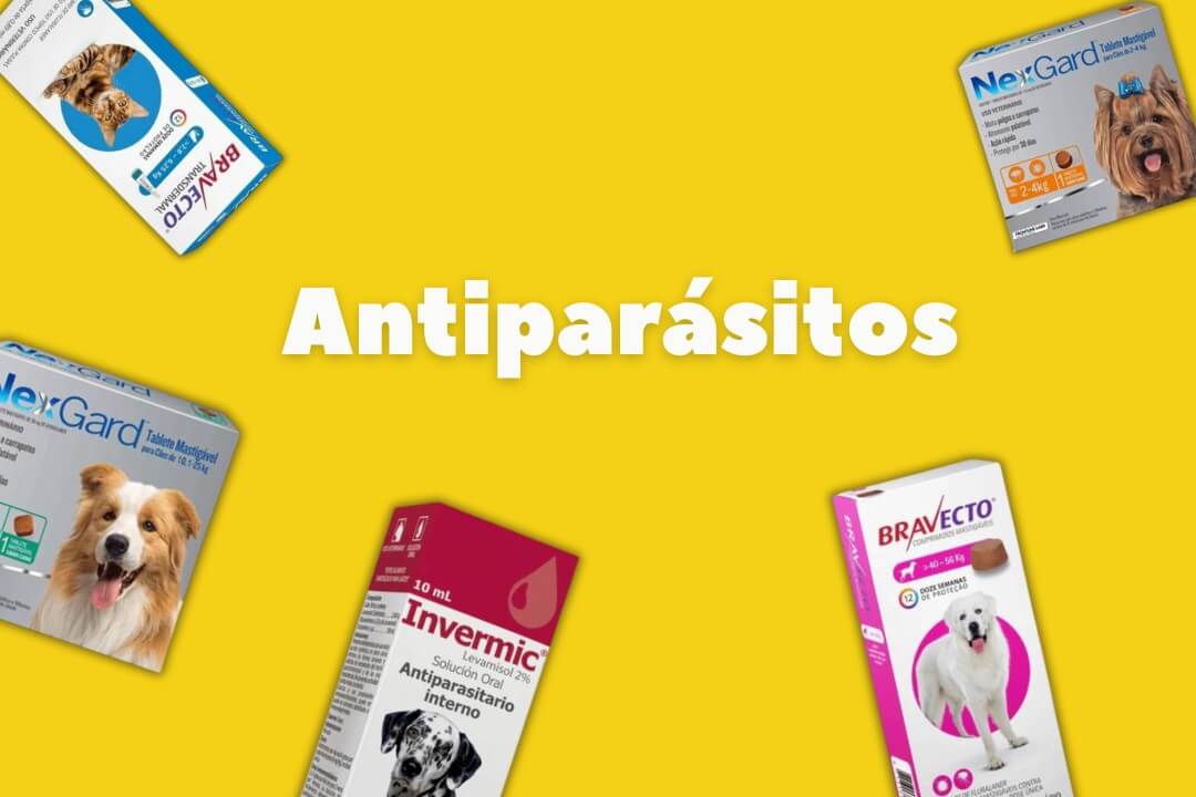 Productos antiparasitarios contra pulgas y garrapatas para perros y gatos incluyendo Bravecto, Invermic, Simparica y NexGard