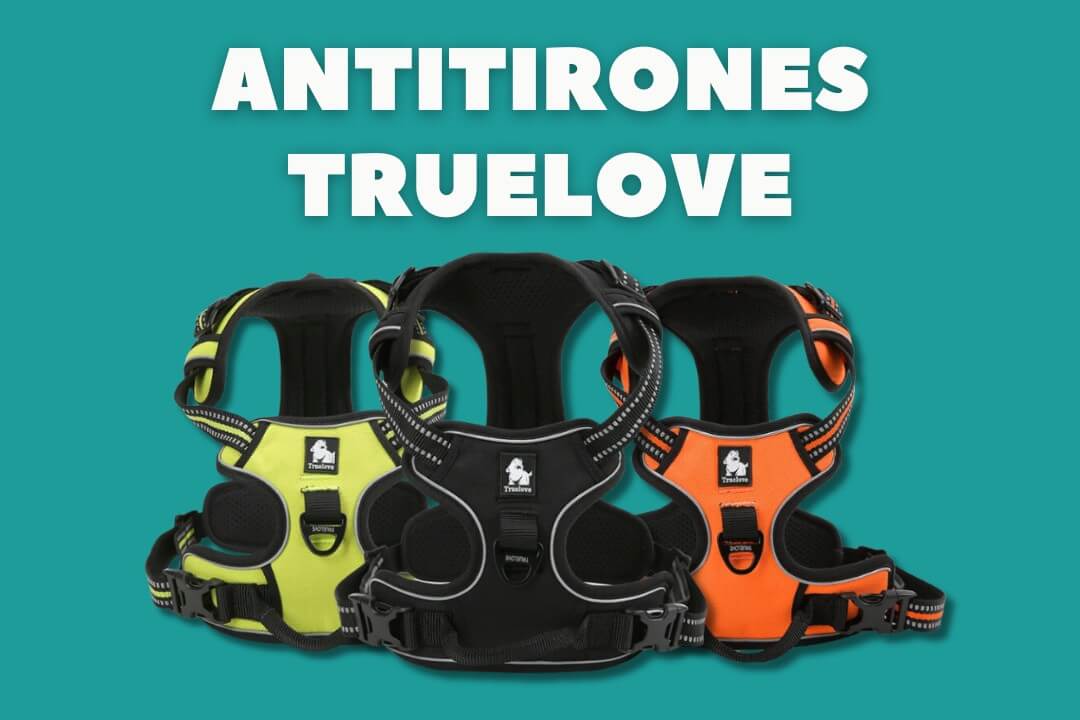 Arneses ergonómicos reflectantes y antitirones Truelove para perros para paseos seguros. en colores negro naranja y verde