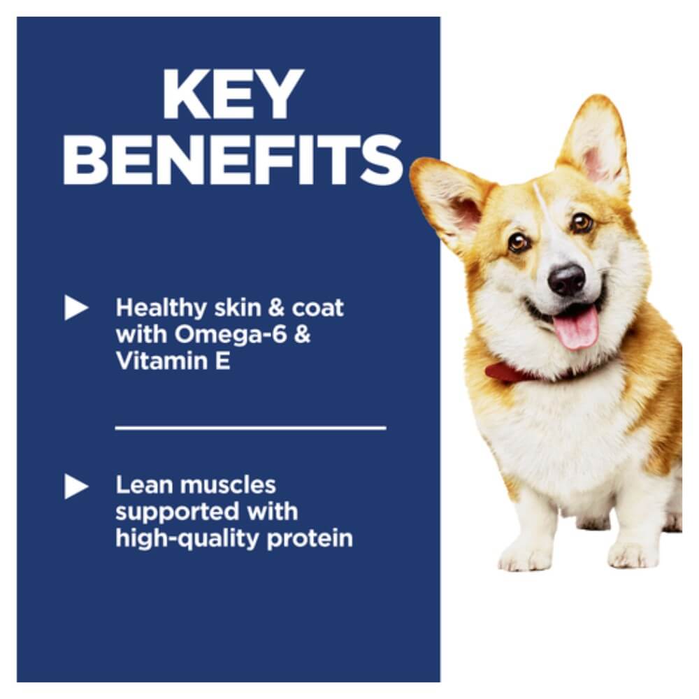 Infografía de Hills Science Diet Adulto Small Bites que detalla la proteína de Hills Perro Adulto Pollo  Cebada para musculatura magra