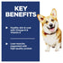 Infografía de Hills Science Diet Adulto Small Bites que detalla la proteína de Hills Perro Adulto Pollo  Cebada para musculatura magra
