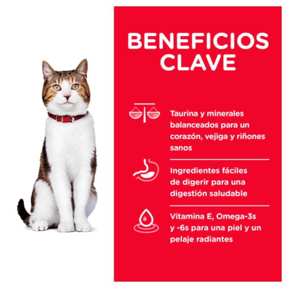 Infografía beneficios clave de Hill's Science Diet para Gatos Senior sabor pollo: destaca salud renal, digestión fácil y pelaje radiante