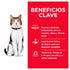 Infografía beneficios clave de Hill's Science Diet para Gatos Senior sabor pollo: destaca salud renal, digestión fácil y pelaje radiante