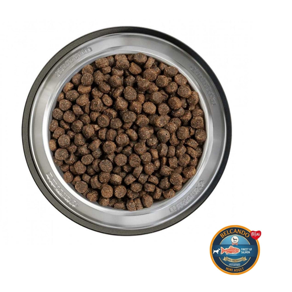 Vista superior de un bowl metálico con pellets de Belcando Mini Adult Finest GF Salmón, nutrición natural para tu perro mini