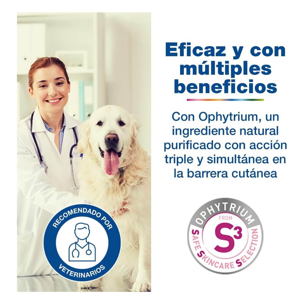 Veterinaria junto a perro Golden Retriever presentando Douxo S3 Calm Shampoo y su ingrediente activo Ophytrium de acción triple