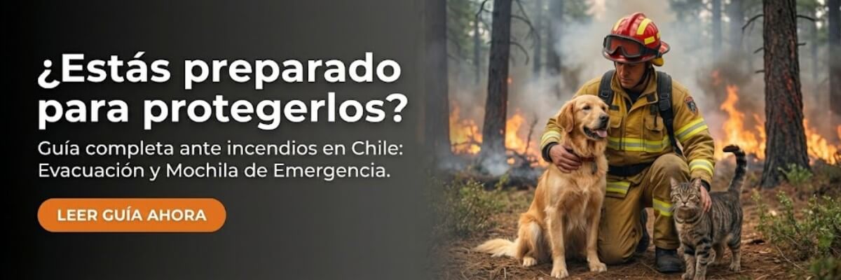 Bombero con perro Golden Retriever y gato en incendio forestal en Chile. Guía para armar la mochila de emergencia de mascotas