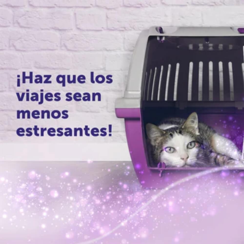 Gato dentro de jaula de transporte morada: Feliway Classic Spray anti estrés felino durante traslados y viajes con feromonas
