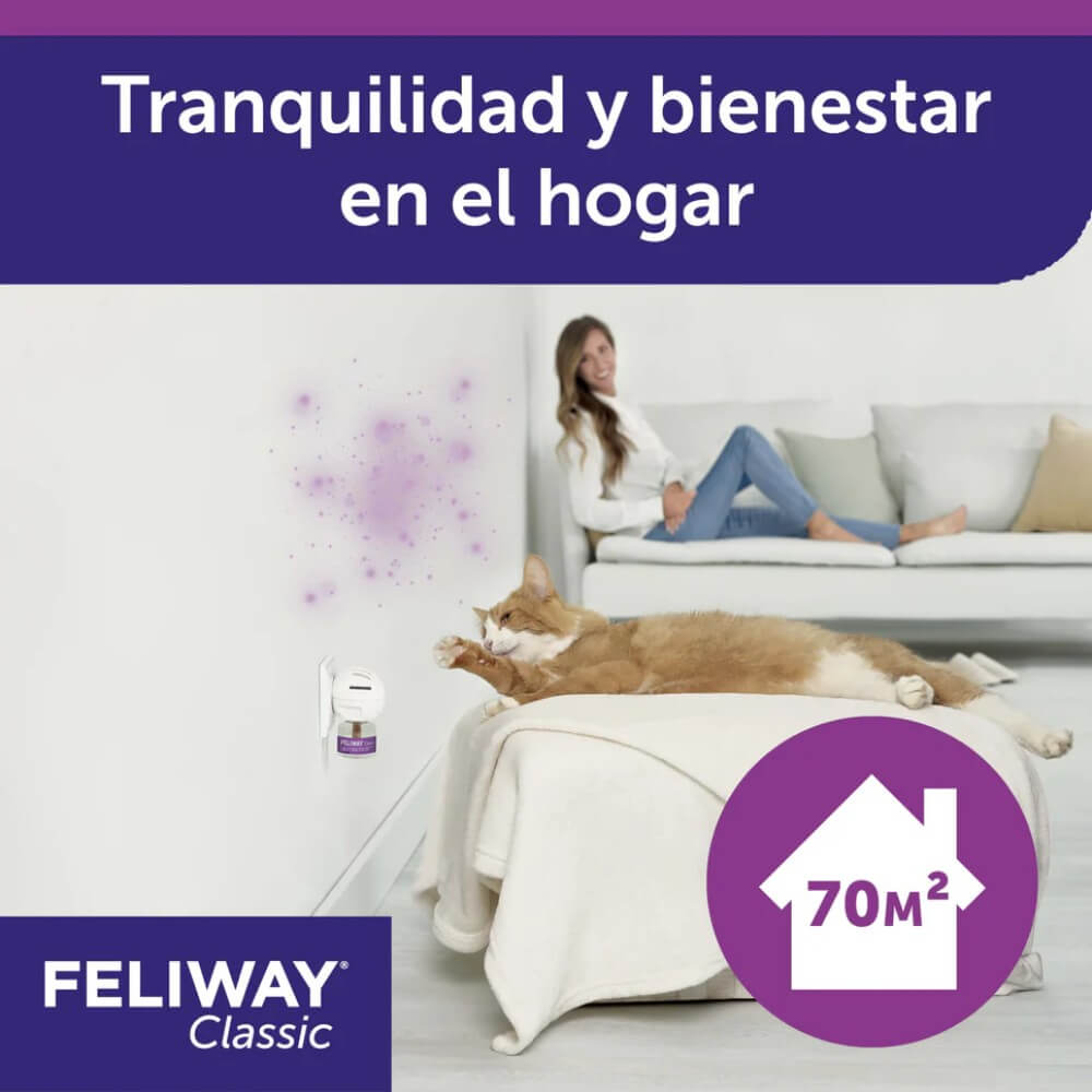 Mujer sonriente observa a su gato atraído por las feromonas del difusor Feliway Classic en su sala de estar