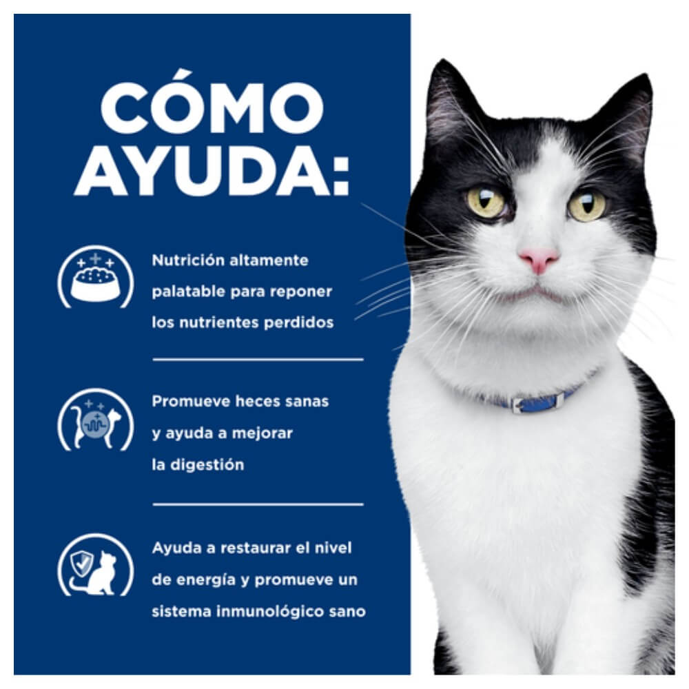 Infografía de Hills Prescription Diet Feline id que muestra como la comida seca para gatos i/d promueve heces sanas en la mascota