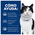 Infografía de Hills Prescription Diet Feline id que muestra como la comida seca para gatos i/d promueve heces sanas en la mascota