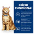 Gato café claro junto a panel azul “Cómo funciona” Hills c/d con pH urinario, omega-3 y control de calcio para salud urinaria
