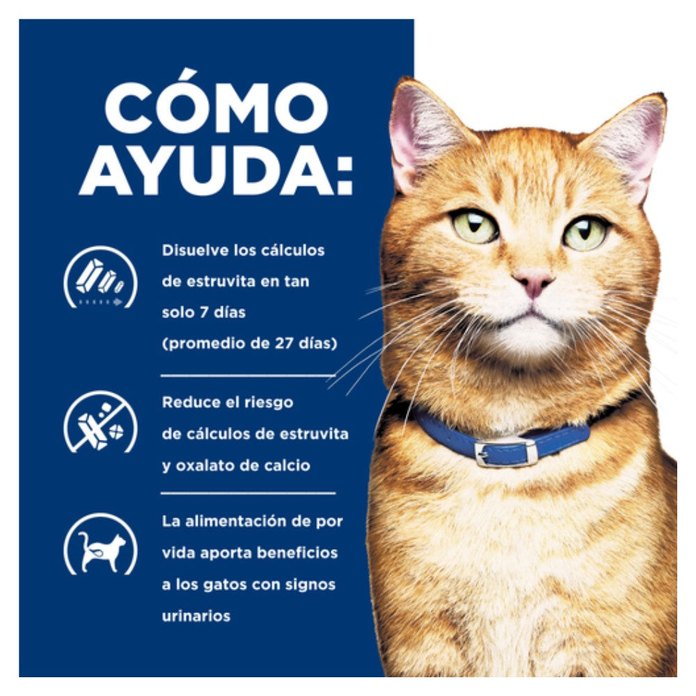 Gato café claro junto a panel azul “Cómo ayuda” Hills c/d, texto sobre disolver estruvita, reducir cálculos y apoyo urinario