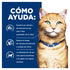 Gato café claro junto a panel azul “Cómo ayuda” Hills c/d, texto sobre disolver estruvita, reducir cálculos y apoyo urinario
