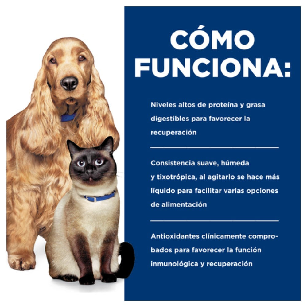 Perro y gato junto a gráfico “Cómo funciona” Hills Urgent Care sobre nutrición, textura húmeda y antioxidantes para recuperación