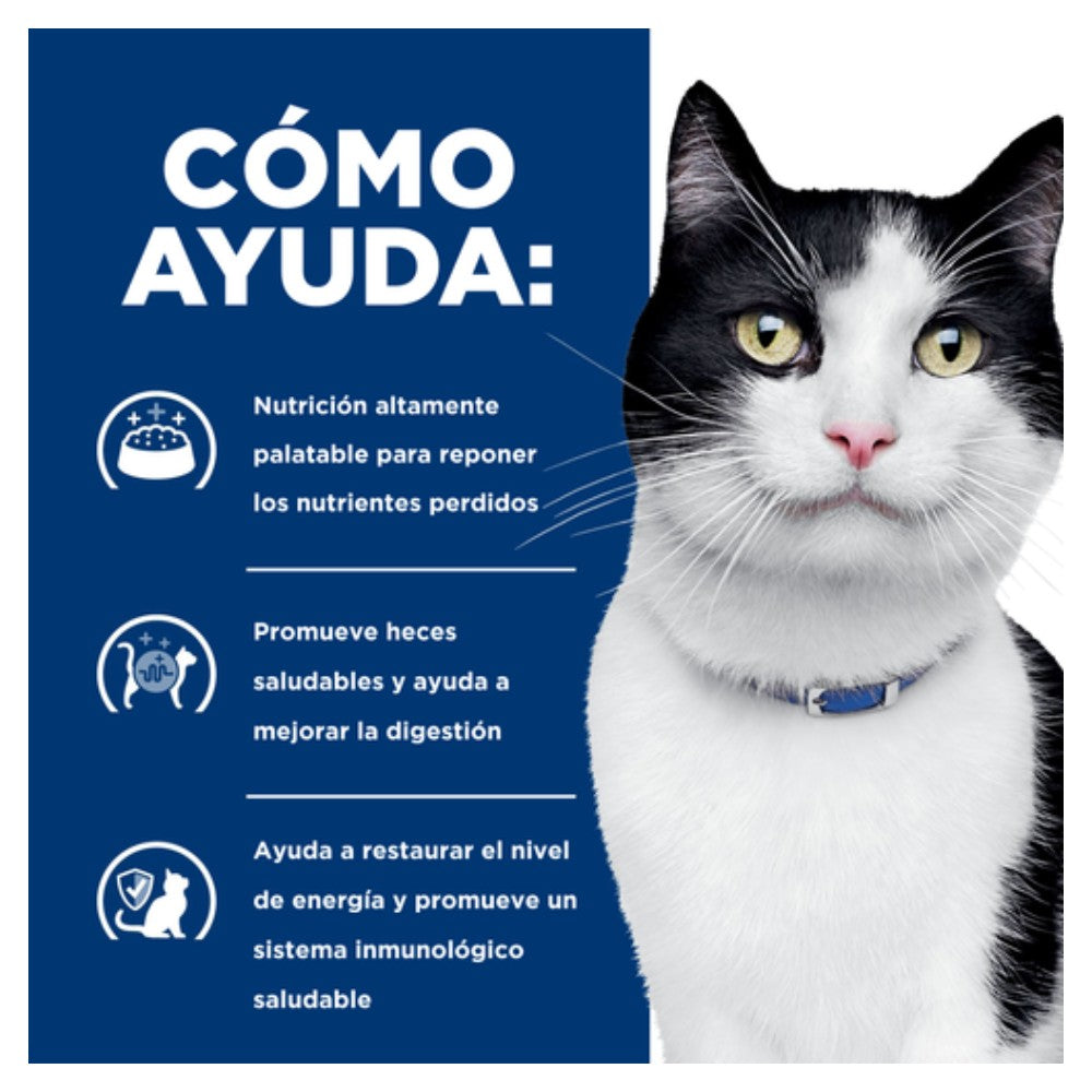 Gato blanco y negro junto a panel azul Hill’s i/d “Cómo ayuda” con íconos y texto sobre digestión, heces saludables y energía