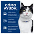Gato blanco y negro junto a panel azul Hill’s i/d “Cómo ayuda” con íconos y texto sobre digestión, heces saludables y energía