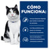 Gato blanco y negro junto a panel azul “Cómo funciona” Hills i/d con íconos de digestibilidad, fibra prebiótica y electrolitos