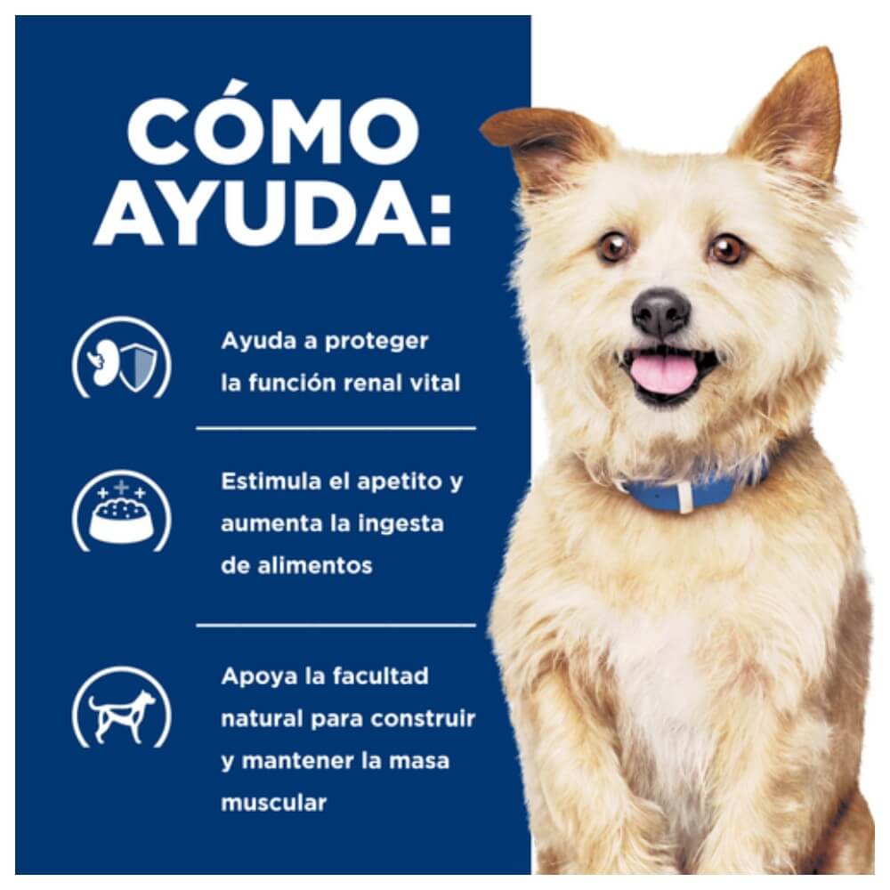 Infografía Cómo Ayuda Hill's k/d en perros. Protege la función renal vital, estimula el apetito y aumenta ingesta y apoya masa muscular