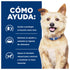 Infografía Cómo Ayuda Hill's k/d en perros. Protege la función renal vital, estimula el apetito y aumenta ingesta y apoya masa muscular