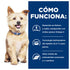 Infografía Cómo Funciona Hill's Prescription Diet k/d sabor pollo para perros. Alimento reducido en fósforo y en sodio con Omega-3