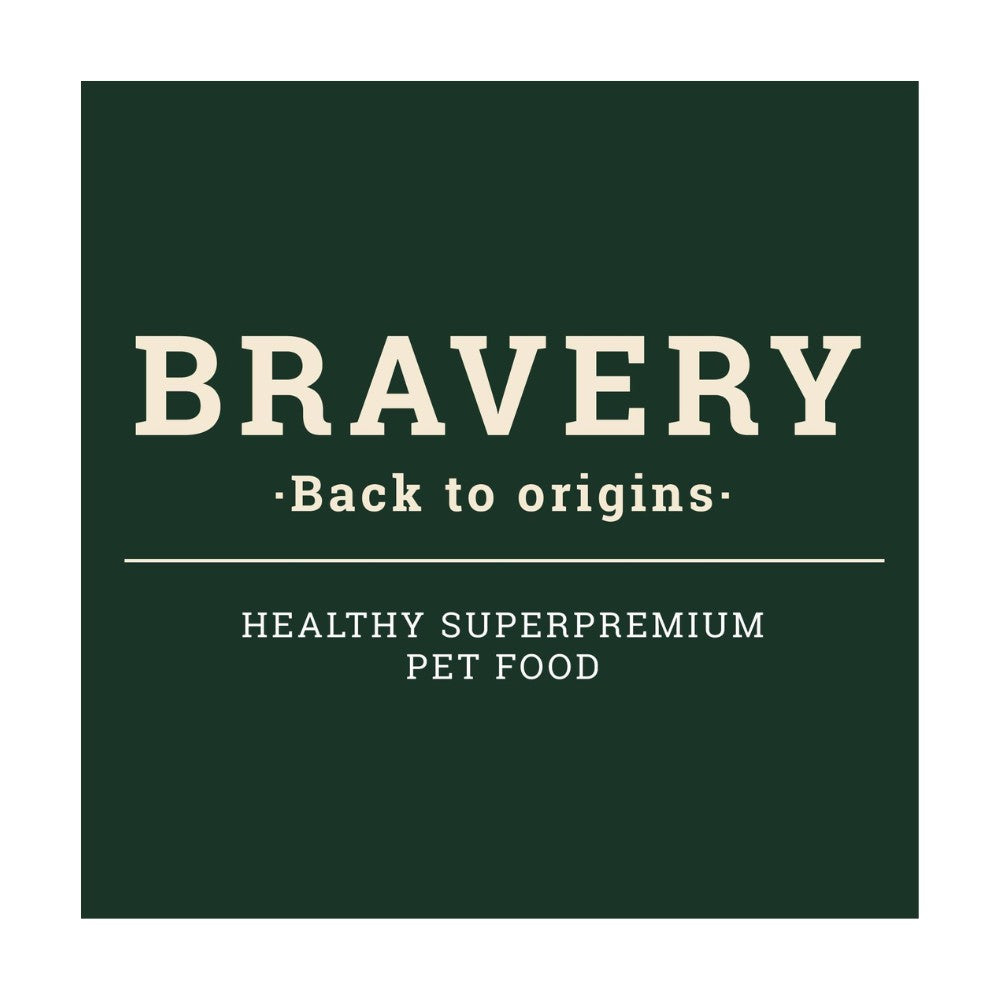 Alimento de mascotas marca Bravery: Logo con eslogan Back to Origins, en letras crema sobre fondo petróleo. La dieta canina de vuelta a sus raíces.