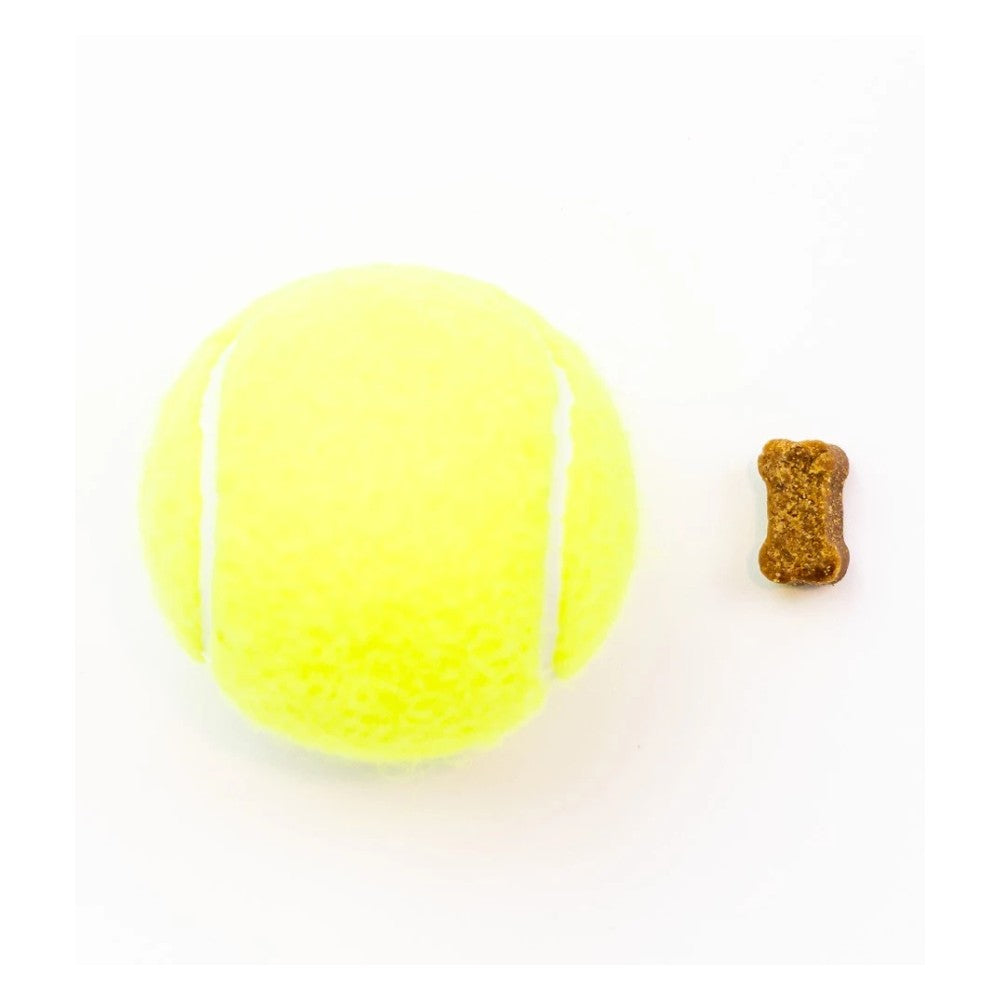 Masticables Skin+Coat suplemento para Perros de Pet Naturals, hueso pequeño al lado de una pelota de tenis, fácil de ingerir
