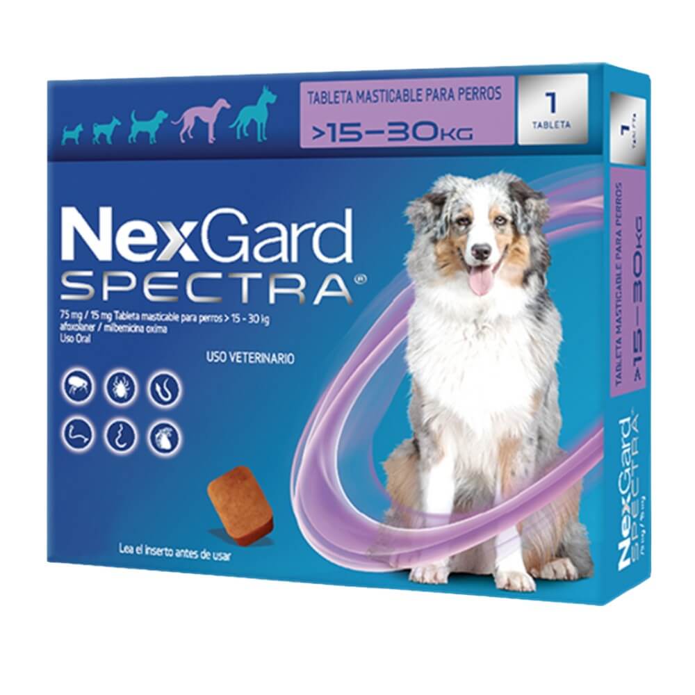 Caja de NexGard Spectra perros grandes de 15.1 a 30 kg, morado/azul con imagen de Pastor Australiano, 1 comprimido masticable
