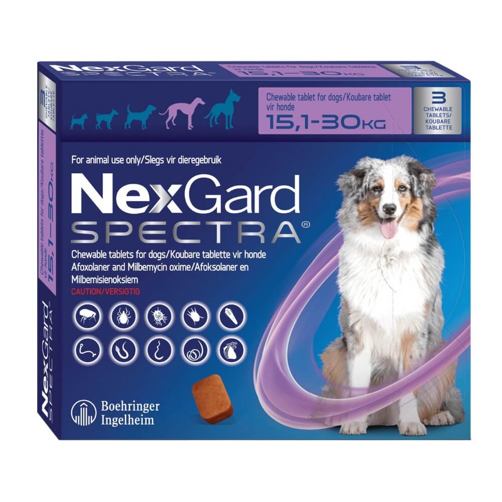 Caja NexGard Spectra color morado/azul con perro Pastor Australiano, cubre peso de perros grandes, 3 comprimidos masticables