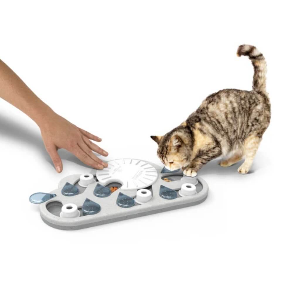 Gato atigrado usando el puzzle interactivo para gatos Nina Ottosson Rainy Day. Mano humana guía al animal hacia los compartimientos
