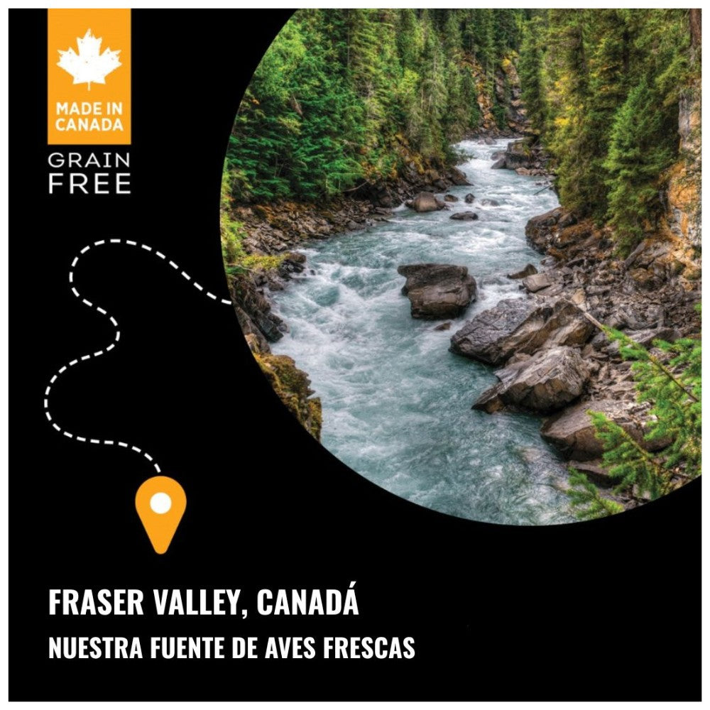 Vista del río en Fraser Valley, Canadá, zona donde Nutrience obtiene aves frescas para sus fórmulas Grain Free
