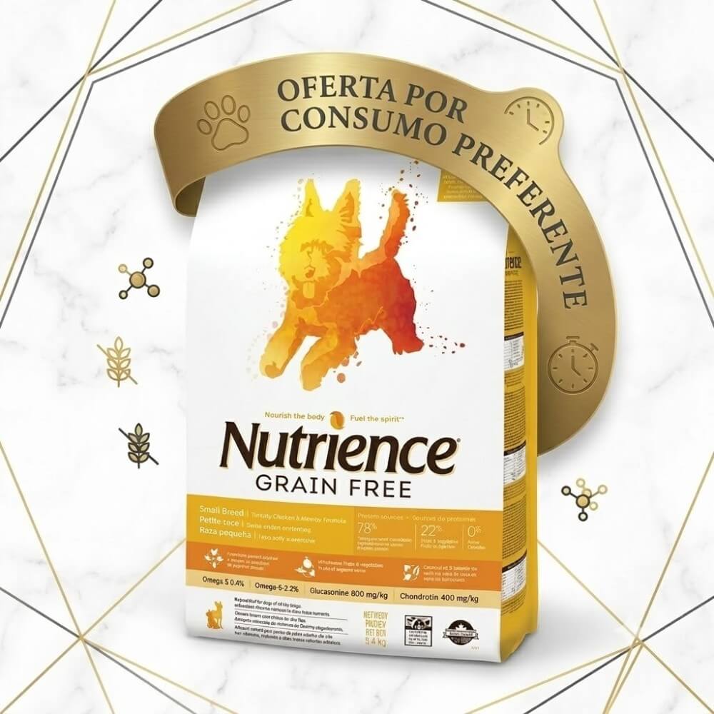 Bolsa Nutrience Grain Free Small Breed Pavo Pollo y Arenque, croquetas mini grain free para perros de razas pequeñas Chile