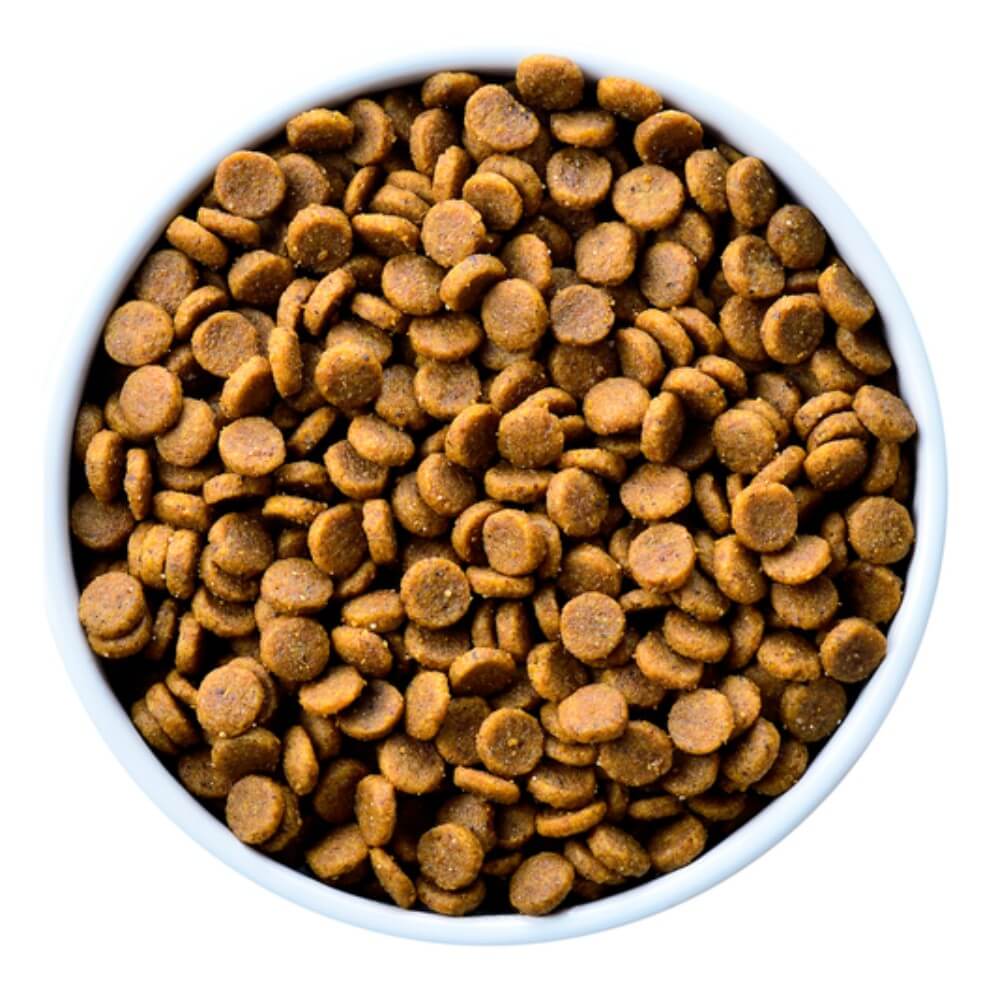 Vista desde arriba de un bowl blanco lleno de pellets redondos café oscuro, del alimento seco para perro Hill's Prescription Diet k/d