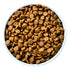 Vista desde arriba de un bowl blanco lleno de pellets redondos café oscuro, del alimento seco para perro Hill's Prescription Diet k/d