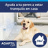 Perro Golden Retriever descansando plácidamente junto al difusor de Adaptil en un salón de su hogar