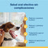 ProDen PlaqueOff: Suplemento de higiene dental para perros que reduce placa y sarro, trata el mal aliento y mejora la salud bucal